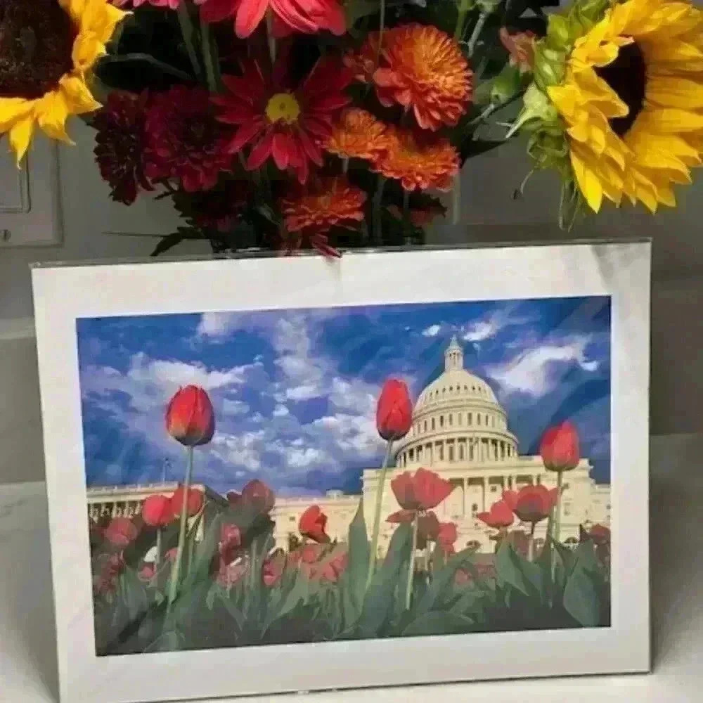 Three (3) Photographs of Nation's Capitol by Legendary Photographer Fred Maroon